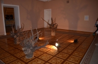 img03