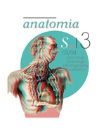  "Anatomia"